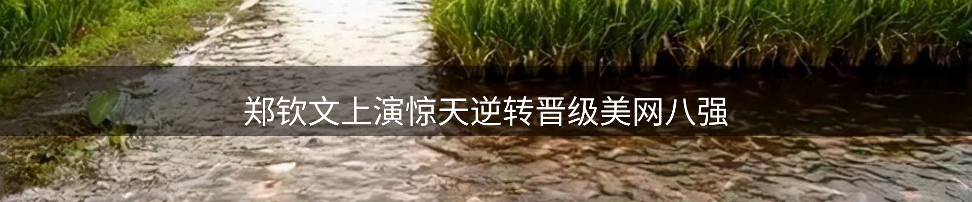 资讯总览